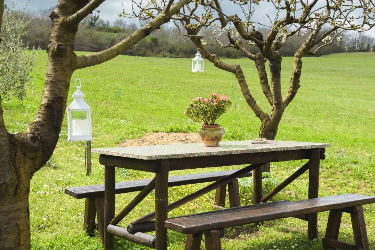 モンティッキエッロ Agriturismo Campo Alla Pianaヴィラ エクステリア 写真