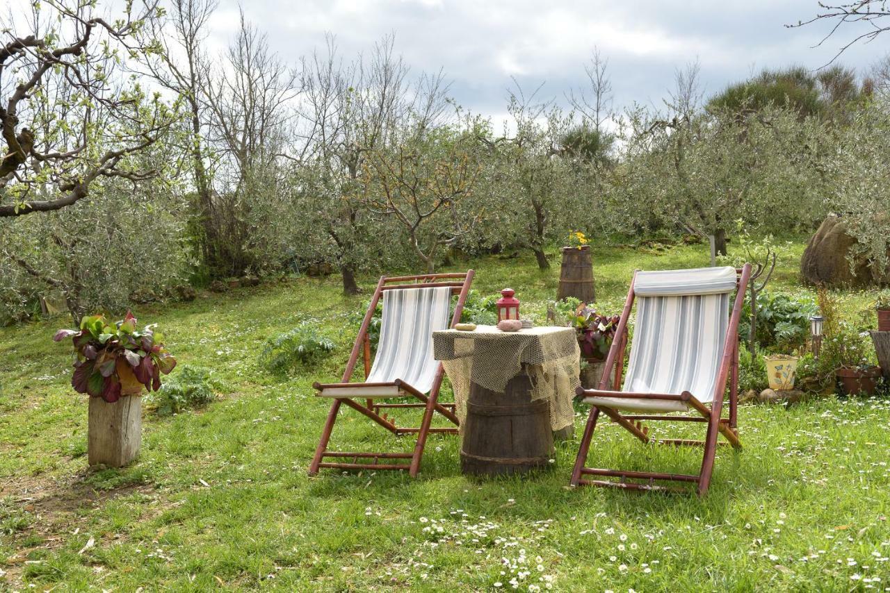 モンティッキエッロ Agriturismo Campo Alla Pianaヴィラ エクステリア 写真