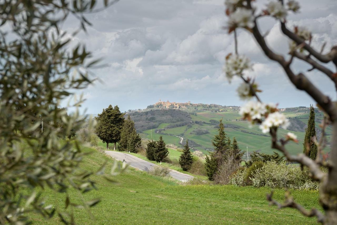 モンティッキエッロ Agriturismo Campo Alla Pianaヴィラ エクステリア 写真